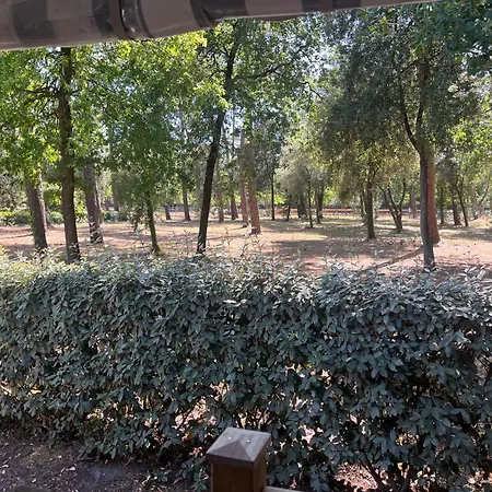 Mobilhome Confort Just-o-calme La Pignade Campsite *